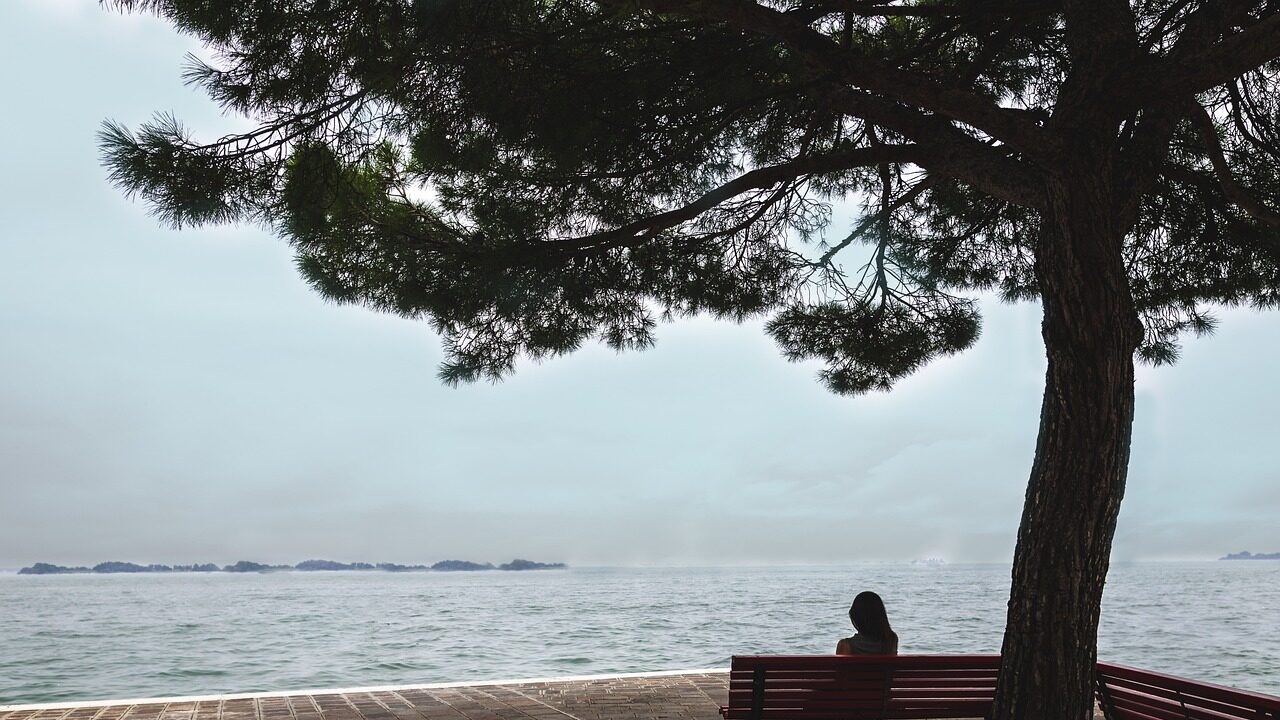 A decorative image of a woman sitting on a park bench looking out over the water with a tree behind her.